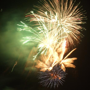 日本美女三级在线看
