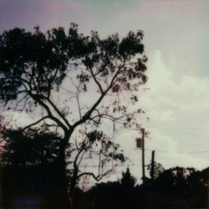 日本美女三级在线看
